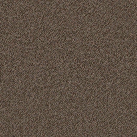 Designtex Silicone Nappa Taupe Upholstery Vinyl