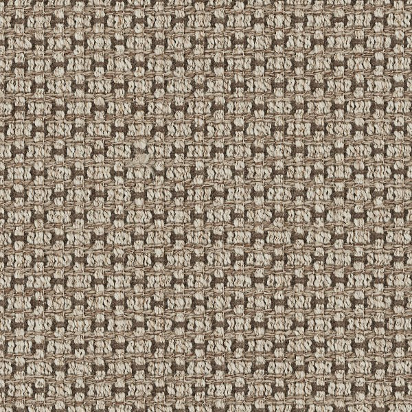 Fabric Remnant of Mayer Botany Reed