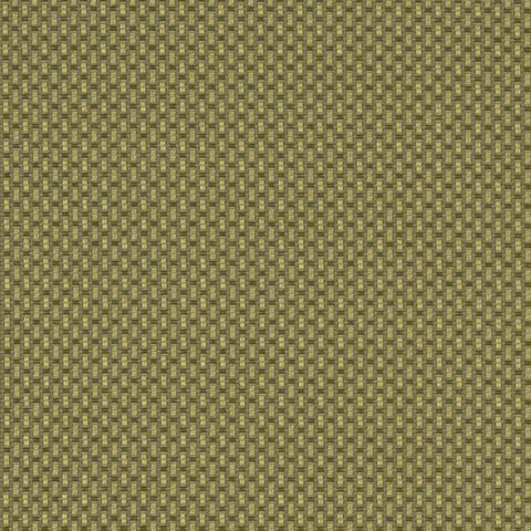 Arc-Com Crossroads Sweet Pea Green Upholstery Fabric