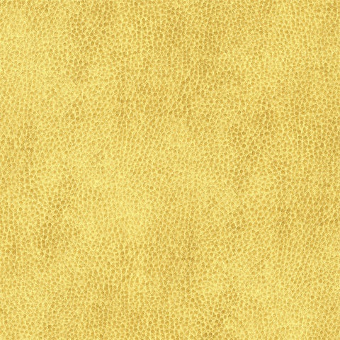 Architex Ryder Fairmount Upholstery Vinyl