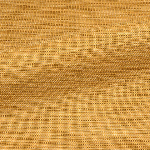 CF Stinson Gravity Soleil Upholstery Fabric