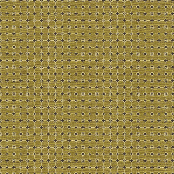 Remnant of Kravet Fiorina Lemongrass Upholstery Fabric