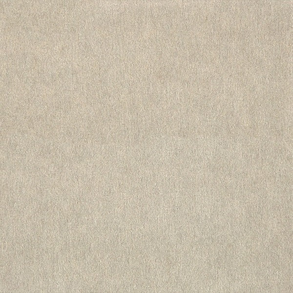 Remnant of Arc-Com Francesca Wool Alabaster Upholstery Fabric
