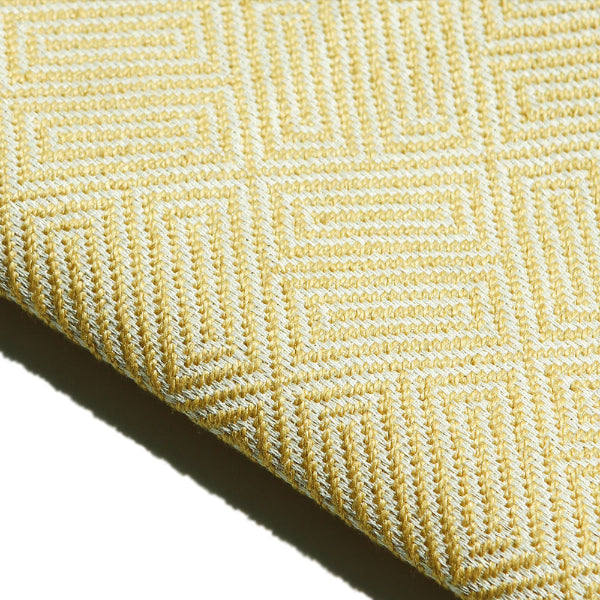 Remnant of Joseph Noble Iconoclast Karpos Upholstery Fabric