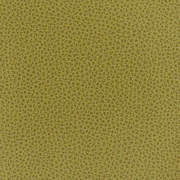 Remnant of Momentum Rein II Palm Upholstery Vinyl