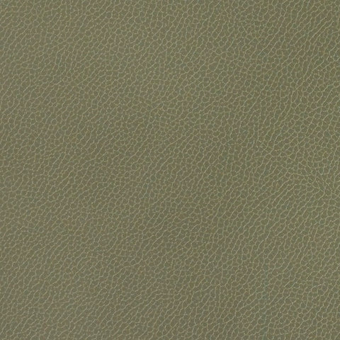 Momentum Silica Eucalyptus Upholstery Vinyl