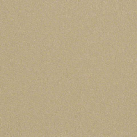 CF Stinson Sundance Frothe Beige Upholstery Vinyl