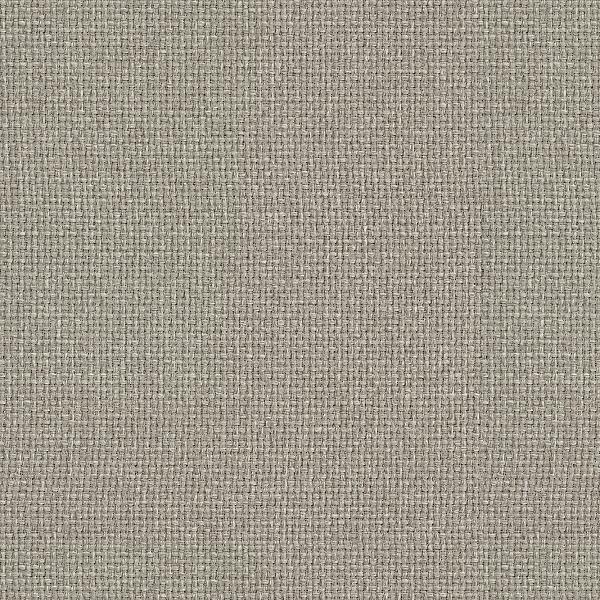 Remnant of Carnegie Hashtag 37 Light Grey Upholstery Fabric