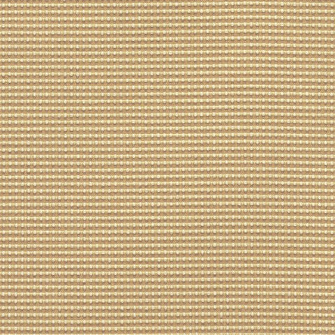 Designtex Appleseed Sesame Upholstery Fabric