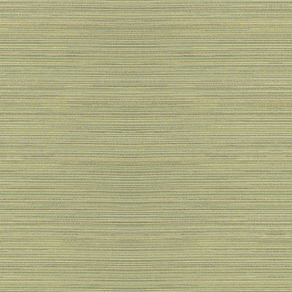 Remnant of Arc-Com Moon Beam 2 Sage Upholstery Fabric