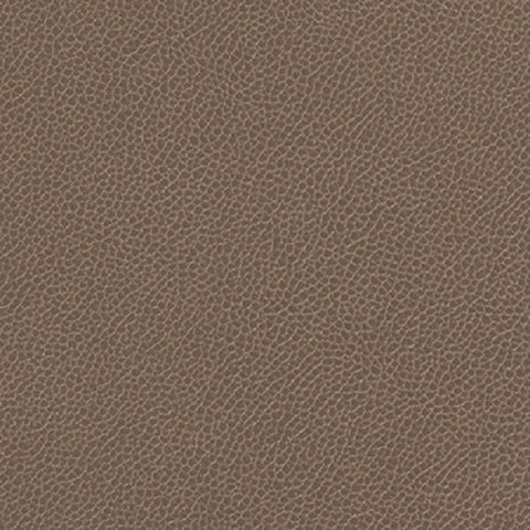 Momentum Textiles Upholstery Fabric Remnant Silica Leather Driftwood