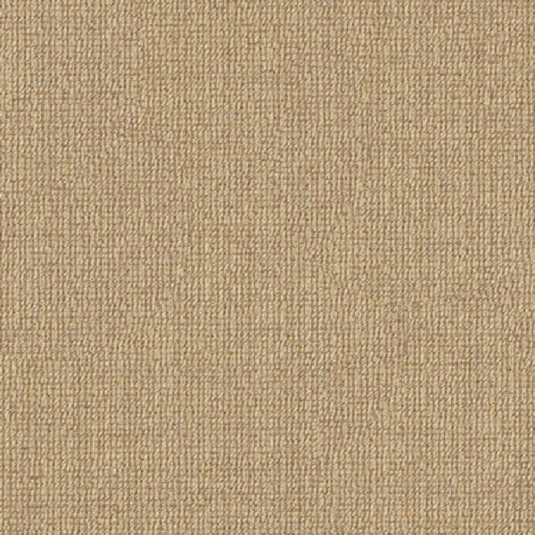 Fabric Remnant of Momentum Textiles Solace Fossil