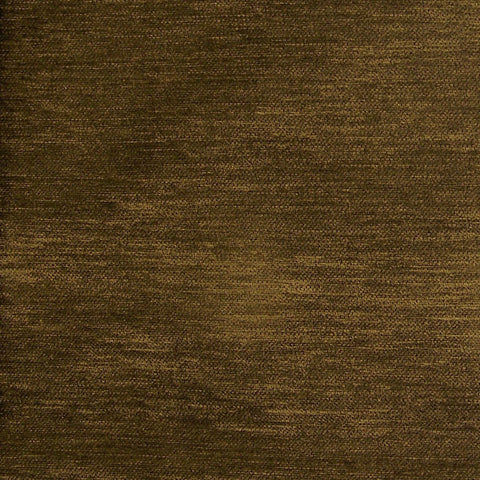 Carnegie Bliss Color 13 Brown Upholstery Fabric