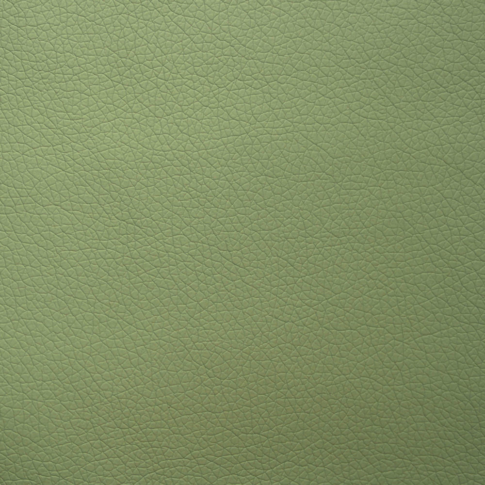 Momentum Textiles Upholstery Canter Verdite Toto Fabrics Online