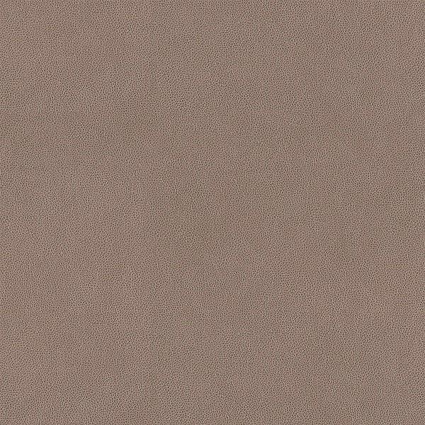 Carnegie Upholstery Hide Color 13 Toto Fabrics Online