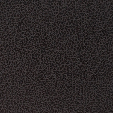 Momentum Textiles Upholstery Rein Ii Darkroom Toto Fabrics Online