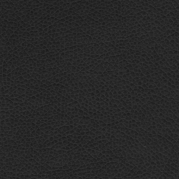 Paul Brayton Tolstoy Asphalt Faux Leather Gray Upholstery Fabric