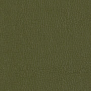 Remnant of Sandstone Peridot Upholstery Fabric