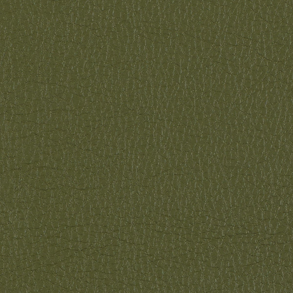 Remnant of Sandstone Peridot Upholstery Fabric