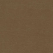 Remnant of Designtex Alcazar Antelope Upholstery Vinyl