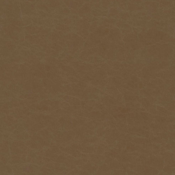 Remnant of Designtex Alcazar Antelope Upholstery Vinyl