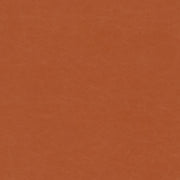 Remnant of Designtex Alcazar Sequoia Upholstery Vinyl