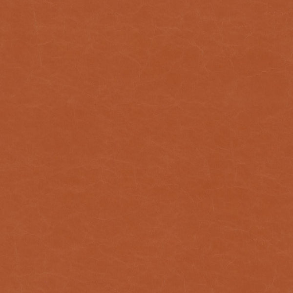 Remnant of Designtex Alcazar Sequoia Upholstery Vinyl