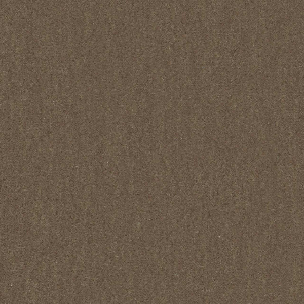 Designtex Mohair Plus Pumice Upholstery Fabric