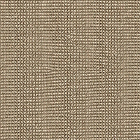 Remnant of Designtex Whim Oat Beige Upholstery Fabric