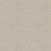 Designtex Pumice Beige Upholstery Fabric