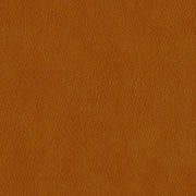 Designtex Hyde Autumn Upholstery Vinyl