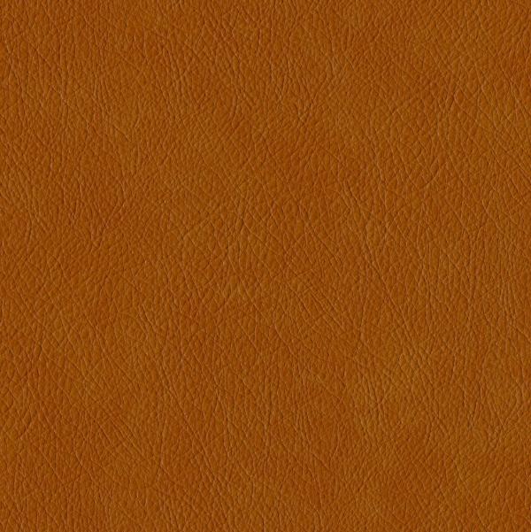 Designtex Hyde Autumn Upholstery Vinyl