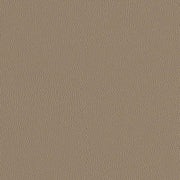 Designtex Silicone Element Sandstone Upholstery Vinyl