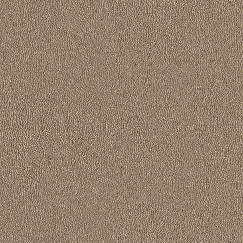 Designtex Silicone Element Sandstone Upholstery Vinyl