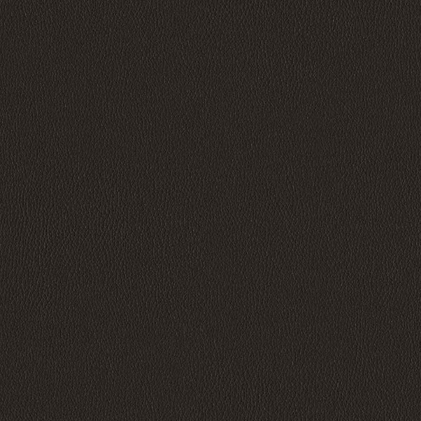 Designtex Silicone Element Anise Black Upholstery Vinyl
