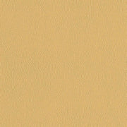 Designtex Silicone Element Vicuna Yellow Upholstery Vinyl
