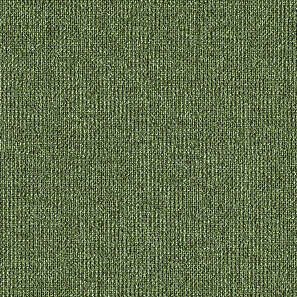 Designtex Arne Leaf Green Upholstery Fabric