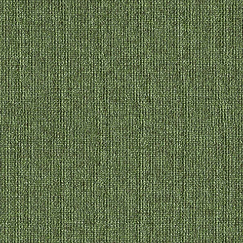 Designtex Arne Leaf Green Upholstery Fabric