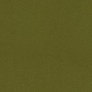 Designtex Cloud Velvet Fern Green Upholstery Fabric