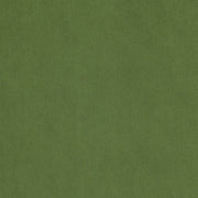 Carnegie Origin 15 Green Velvet Upholstery Fabric