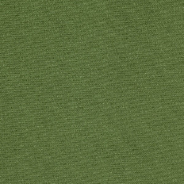 Carnegie Origin 15 Green Velvet Upholstery Fabric