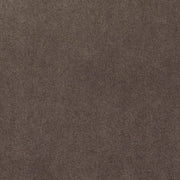 Remnant of Carnegie Pigment 5 Upholstery Fabric