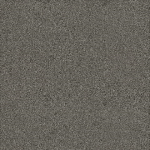 Carnegie Buff Color 48 Taupe Upholstery Vinyl