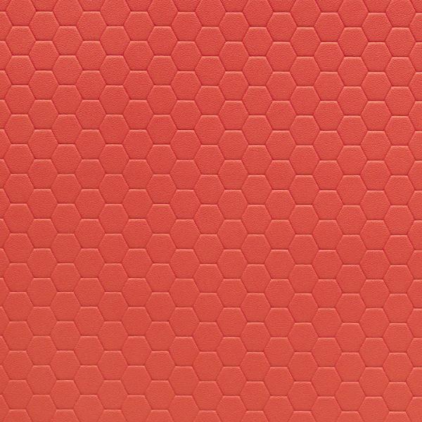 Remnant of Momentum Hive Guava Upholstery Vinyl