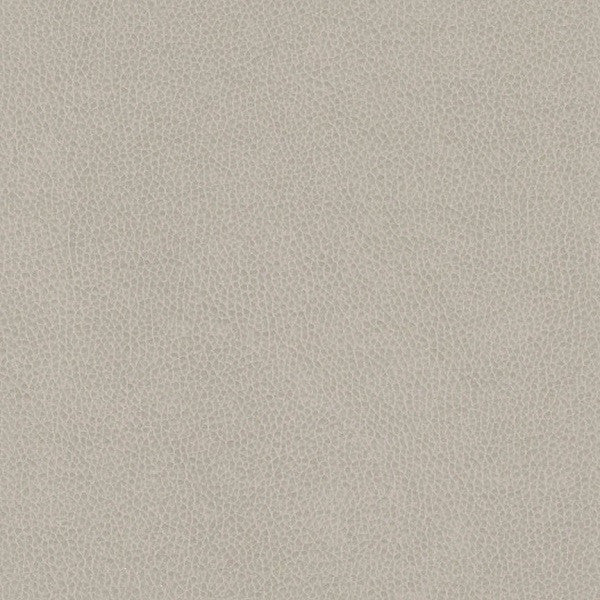 Arc-Com Omega Mist Soft Ivory Faux Leather Upholstery Vinyl