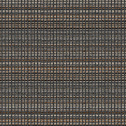 Remnant of Arc-Com Evolution Coal Upholstery Fabric