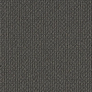 Luum Ample Vortex Gray Upholstery Fabric