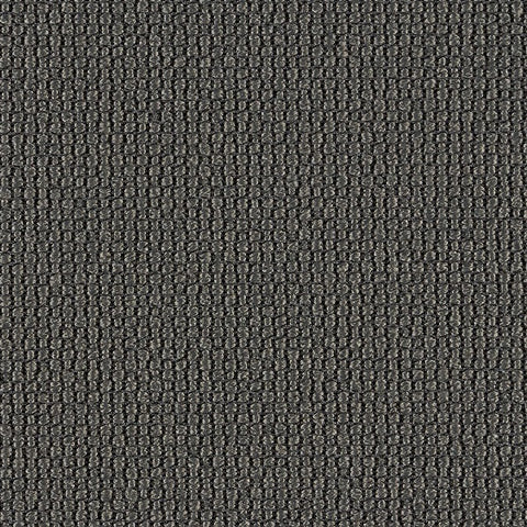 Luum Ample Vortex Gray Upholstery Fabric