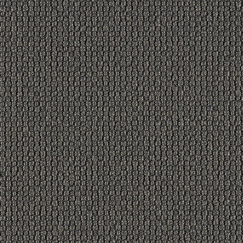 Luum Ample Vortex Gray Upholstery Fabric