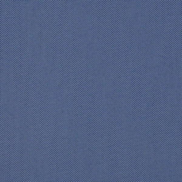 CF Stinson Bryant Park Shadow Upholstery Fabric
